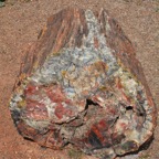 DSC_3344.jpg